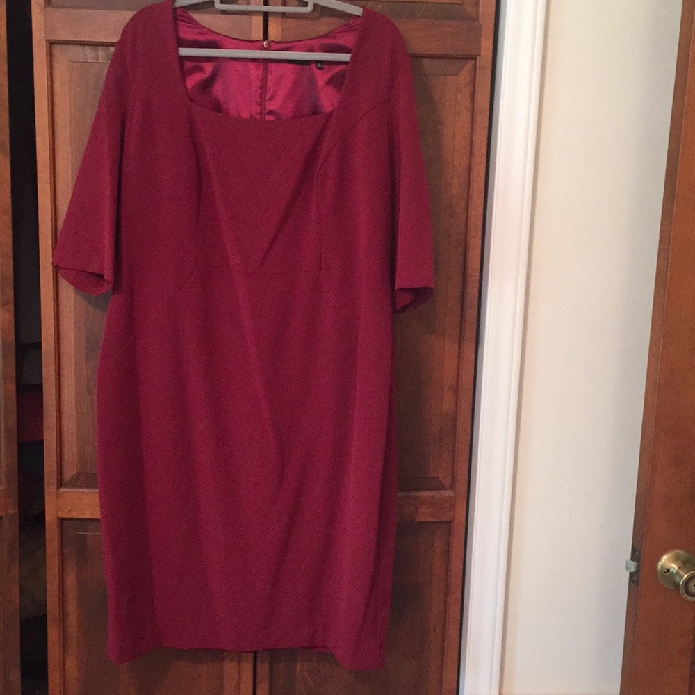 NWOT Amazon’s Society New York burgundy dress